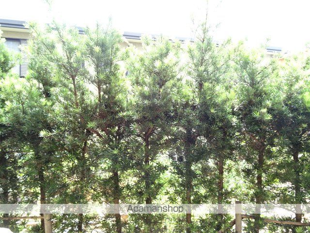 コンティニューのその他写真
