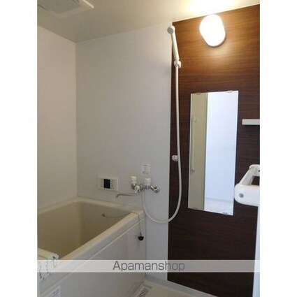 ロイヤルテラス橘亀戸[1DK/30.49m2]のその他内装4