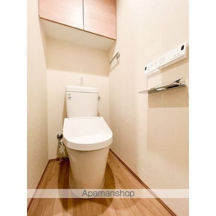 ＬｕｍｉＣｏｕｒｔ　ＭＩＴＡＫＡ[1SLDK/48.6m2]のトイレ