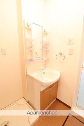 ウィルモア山泉[2DK/44.18m2]の洗面所