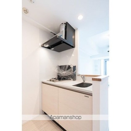 グランカーサ船堀Ⅰ[1DK/31.41m2]のキッチン