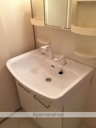 ヒラソル[2LDK/55.44m2]の洗面所3