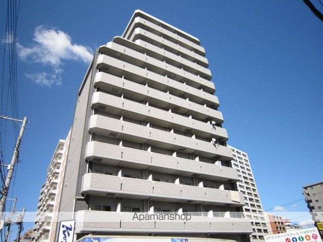 ロジェ・今福鶴見のその他写真