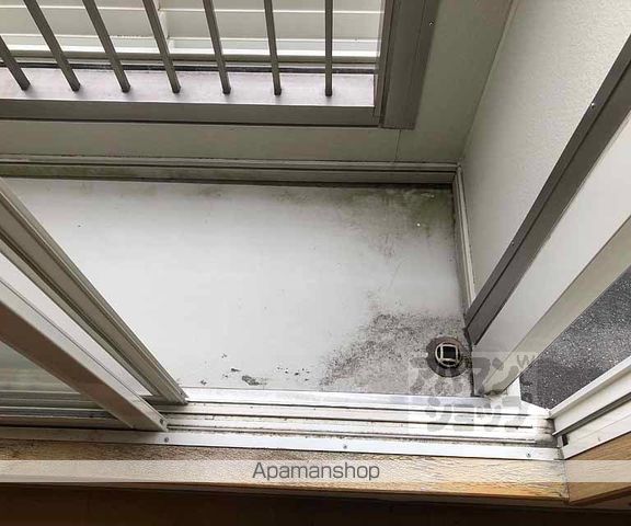 アルバトロスAの内装写真