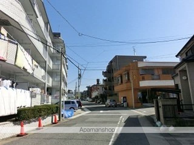 テパーミントカジカワのその他写真