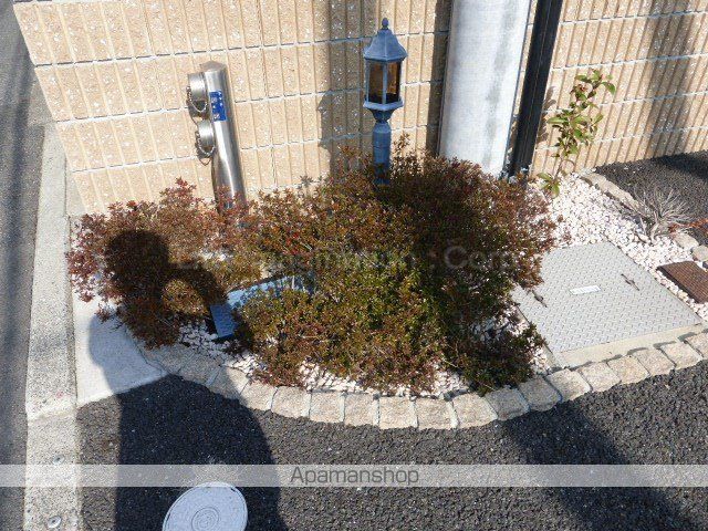AMBELLIRのその他写真