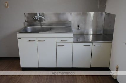 フレグランス増沢Ｂ棟[2DK/42m2]のキッチン