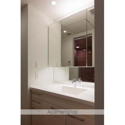 パークコート千代田富士見ザタワー[1LDK/42.51m2]の洗面所