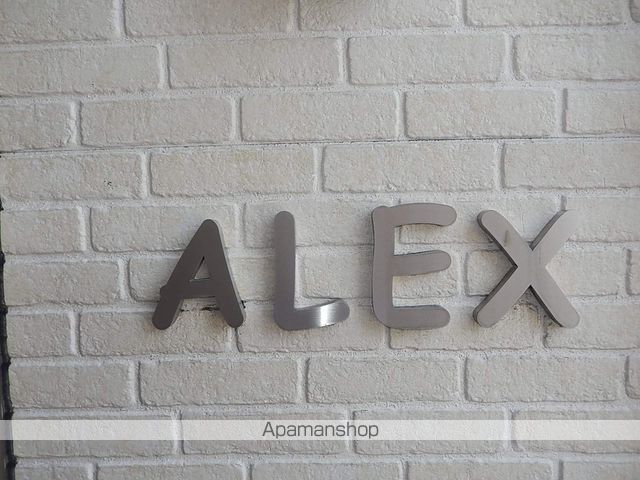 ALEXのその他写真