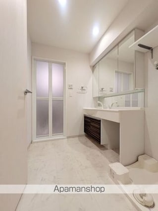 ポルト　ドゥ　ヴァンドーム[1LDK/44.57m2]の洗面所