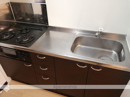 レオネクストアクア[1K/30.84m2]のキッチン