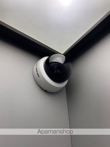 アルファシオレヴァークのその他写真