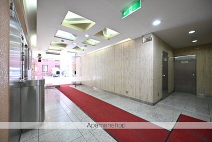 ＤＩＫ麹町ビル[1R/13.81m2]のエントランス2