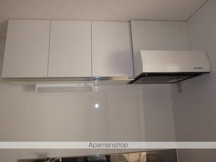 東城ビル[1LDK/43.53m2]のキッチン2