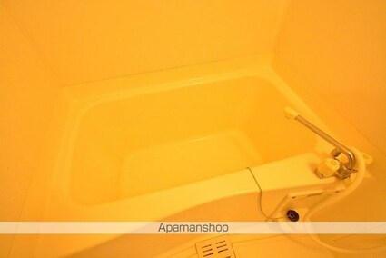 メゾンドレーヌ[1K/26.5m2]の内装5