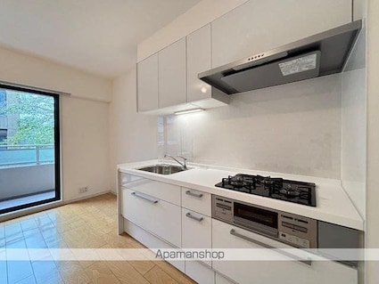 ＨＦ若林公園レジデンス[1LDK/48.68m2]のキッチン