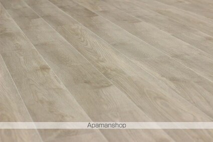 コーポ川江[2K/42.9m2]の内装3