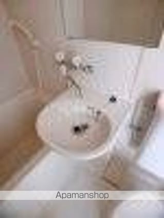 ローランドミューズ（花園）[1R/13.26m2]の洗面所