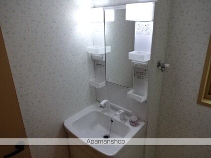 セジュール[1K/24.17m2]の洗面所