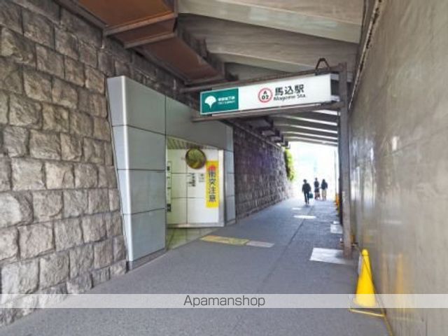 クレイノトルース IVの周辺写真