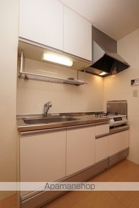 グレイス　スクエア新涯　５　Ｂ棟[2LDK/56.3m2]のキッチン