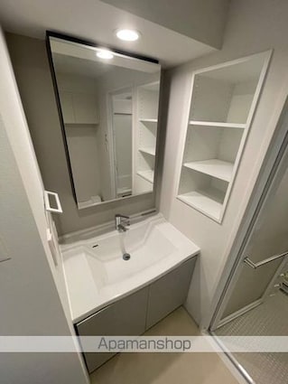 プラウドフラット墨田曳舟ディアージュ[2LDK/47.52m2]の洗面所