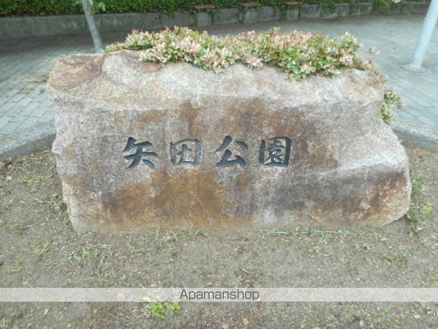アレックスの周辺写真