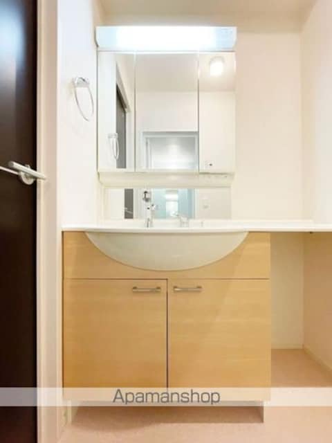 カメリア並木[1LDK/41.52m2]の洗面所