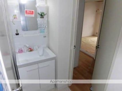 ドムスヒルズ　Ａ館[2DK/45.81m2]の洗面所