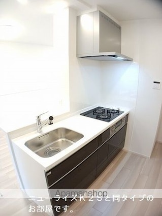 Ｙフォレスト長浜Ａ[2LDK/56.48m2]のキッチン