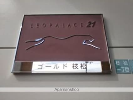 レオパレスゴールド枝松[1K/20.28m2]のエントランス