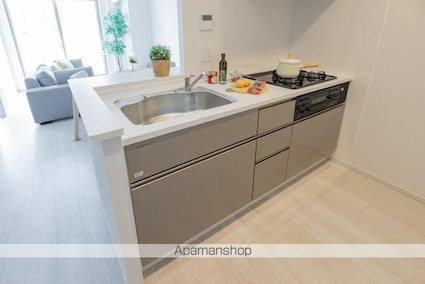 リーフシティ市川　ザ・レジデンス[2LDK/54m2]のキッチン1