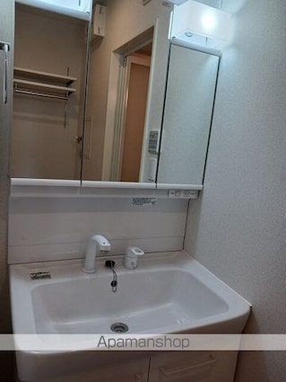 フェリス　ソレアードⅢ[2LDK/66.02m2]の洗面所