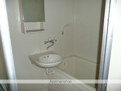 レピュート・マルミツ[2K/35.74m2]の洗面所