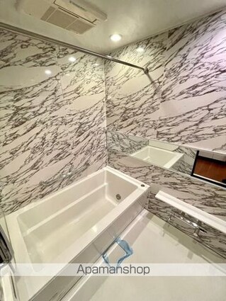 レジディア芝浦ＫＡＩＧＡＮ[1LDK/44.82m2]のバス