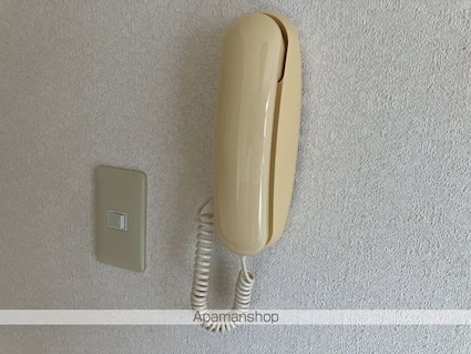 ハイツ大柳　Ａ棟[3DK/53.32m2]のセキュリティ