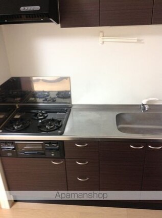 レオネクスト辛島Ⅱ[1K/30.84m2]のキッチン