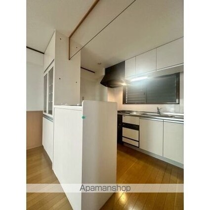 アメニティー大善[1LDK/47.33m2]のキッチン2