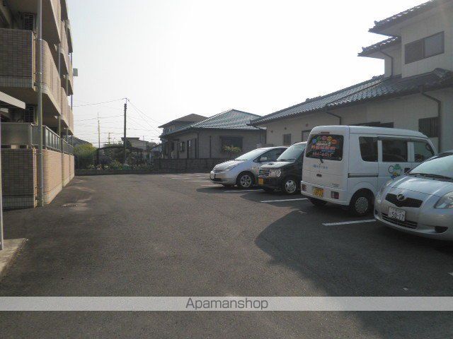 Y&Mデイジーのその他写真