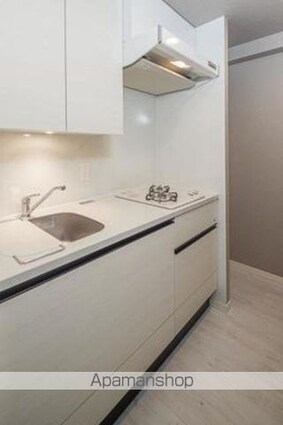 ＨＩＲＯＯ　ＶＩＬＬＡＧＥ[1LDK/36.94m2]のキッチン