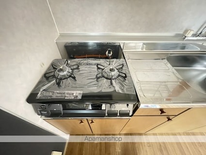 アクティルミナス[2DK/50.67m2]の内装5