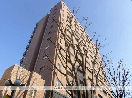 スカイグランデ京成小岩[1LDK/44.28m2]の外観4