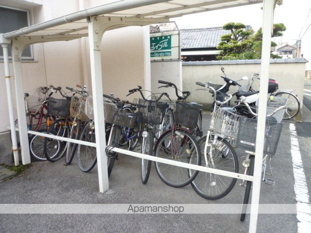 カーサ樹のその他写真