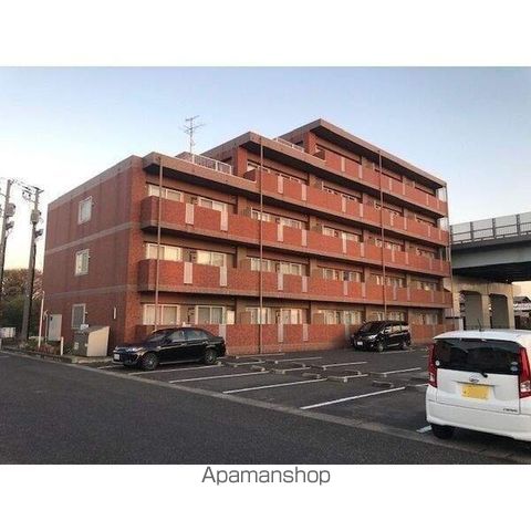 プレアデスのその他写真