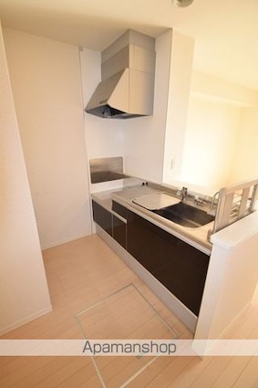 熊本県八代市平山新町[1LDK/44.32m2]のキッチン