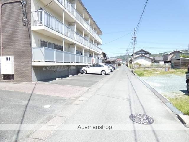 サイプレスのその他写真