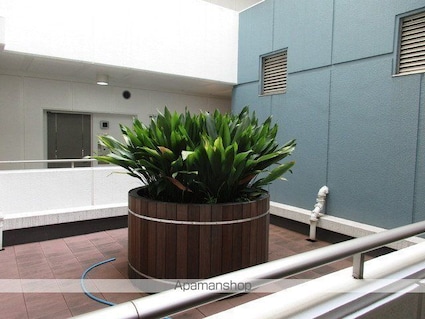 ルシマン月島[1LDK/52.63m2]の共用部2