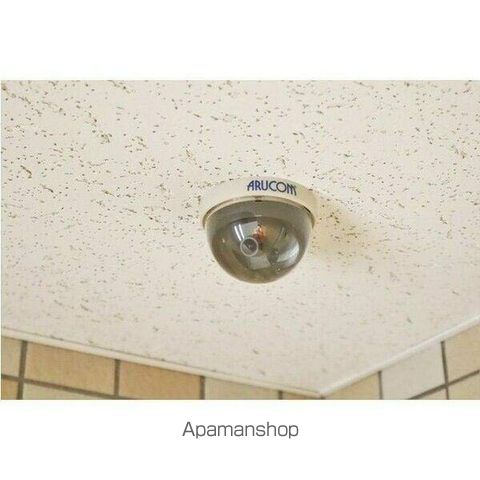 セントポーリアブライトのその他写真
