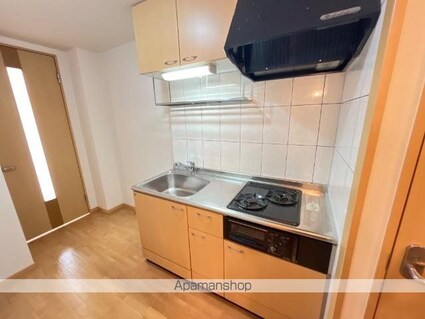 ボア・ソルテ[1K/31.02m2]の内装5