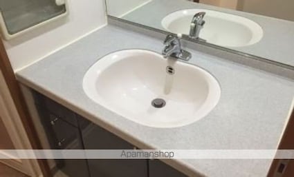 天神パークホームズ[3LDK/60.91m2]の洗面所